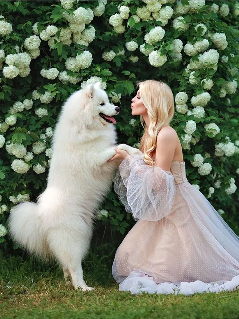 Bubble Sleeve Sweetheart Elegant Evening Maxi Dress Photoshoot Dress