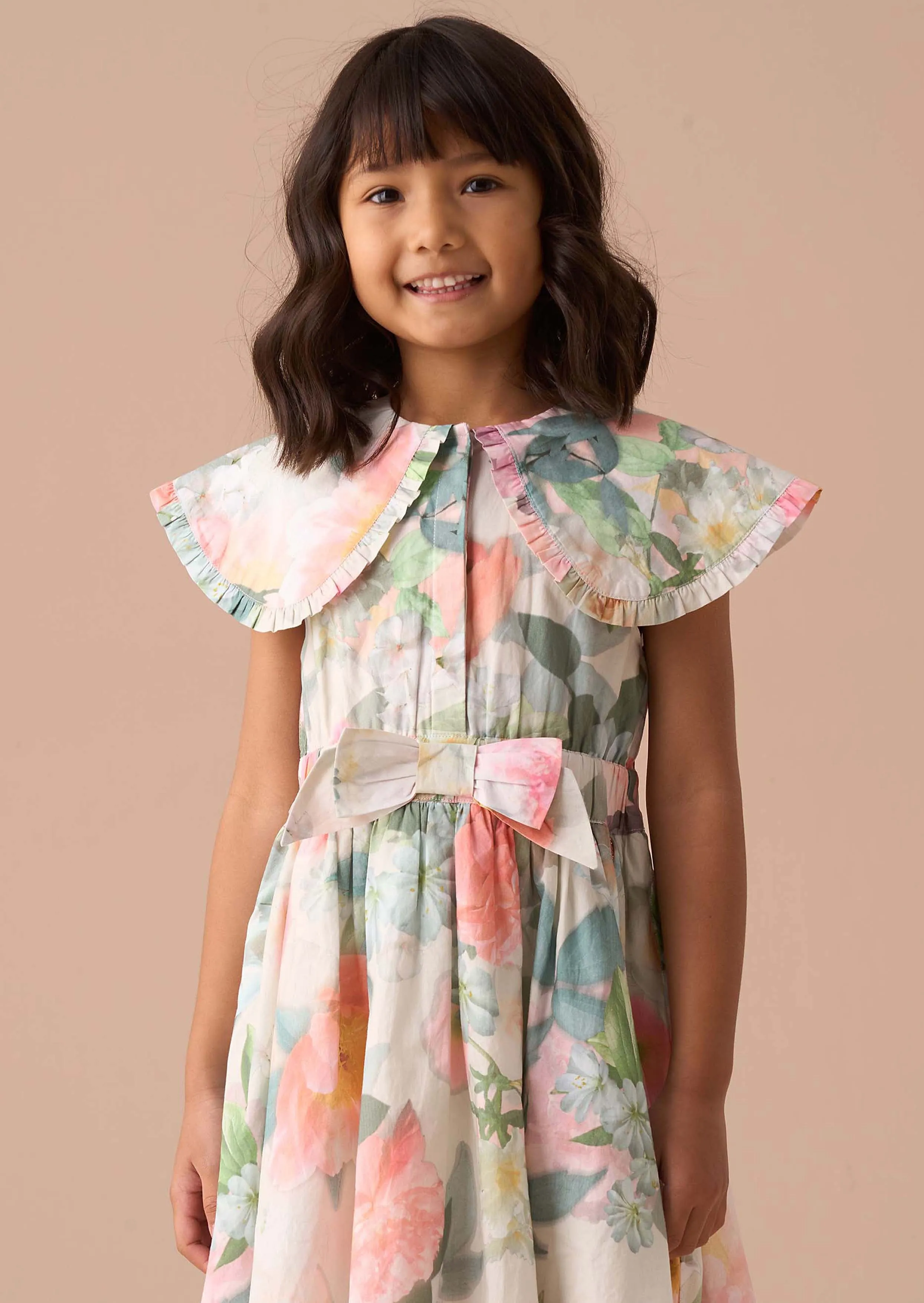 Chloe Multi Cape Collar Dress