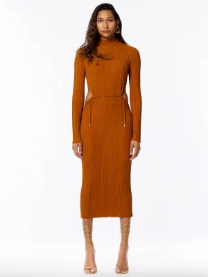 Earth Tone Elegance Maxi