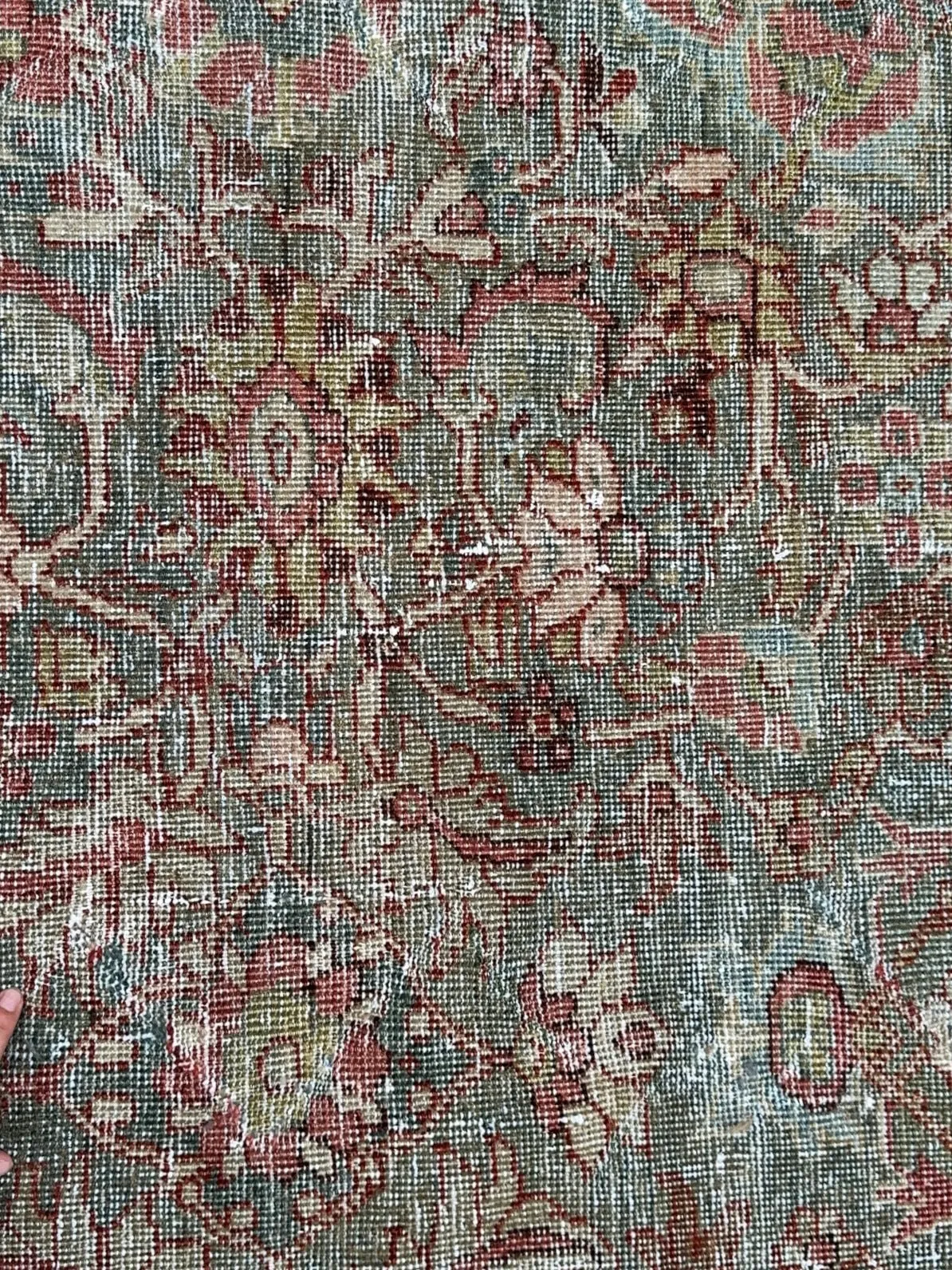 Encanto (10x15)