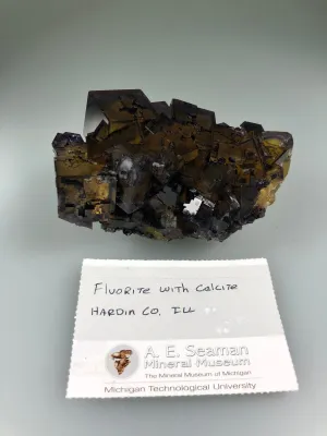Fluorite, Rosiclare Level, Northwest Cross-Cut Orebody, Minerva No. 1 Mine, Ozark-Mahoning Company, Cave-in-Rock District, Southern Illinois, ex. A.E. Seaman Museum LTH 3840, Small Cabinet, 5.0 x 6.0 x 9.5 cm, $650. Online 9/3