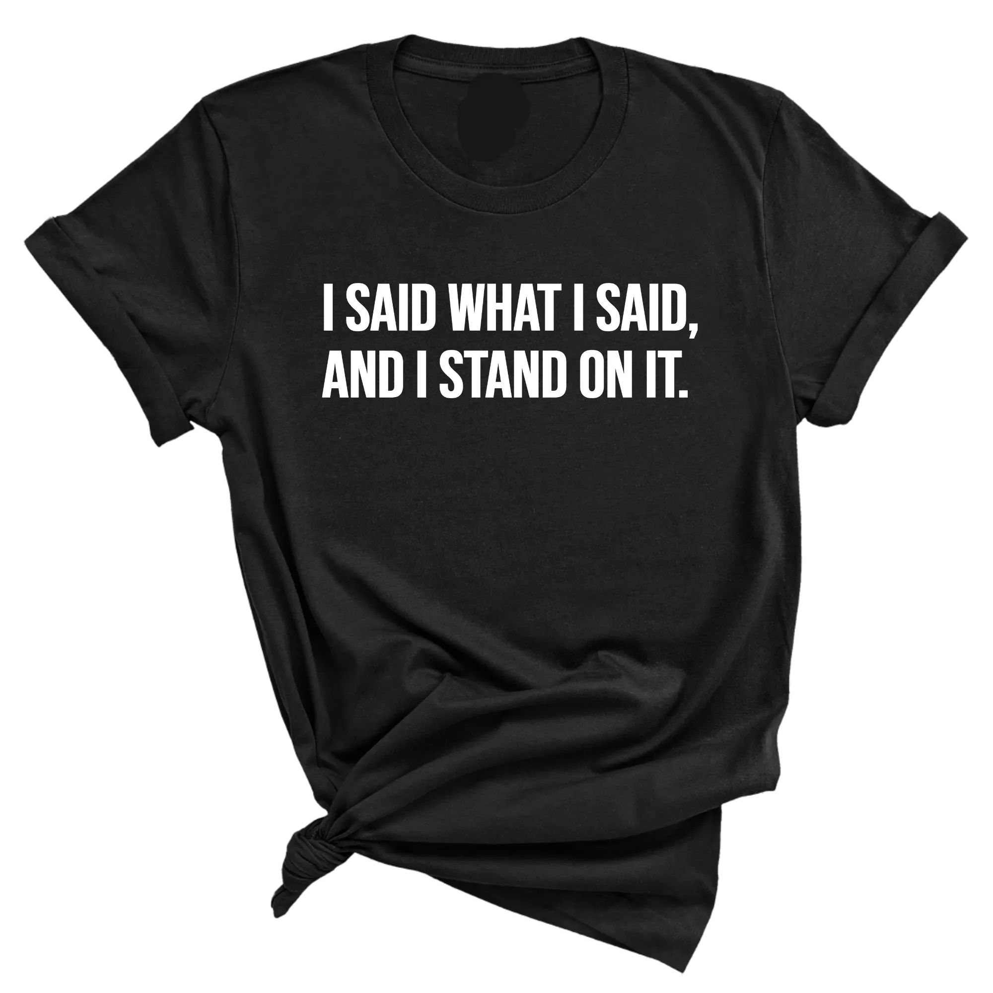 I Said What I Said and I Stand on It Unisex Tee