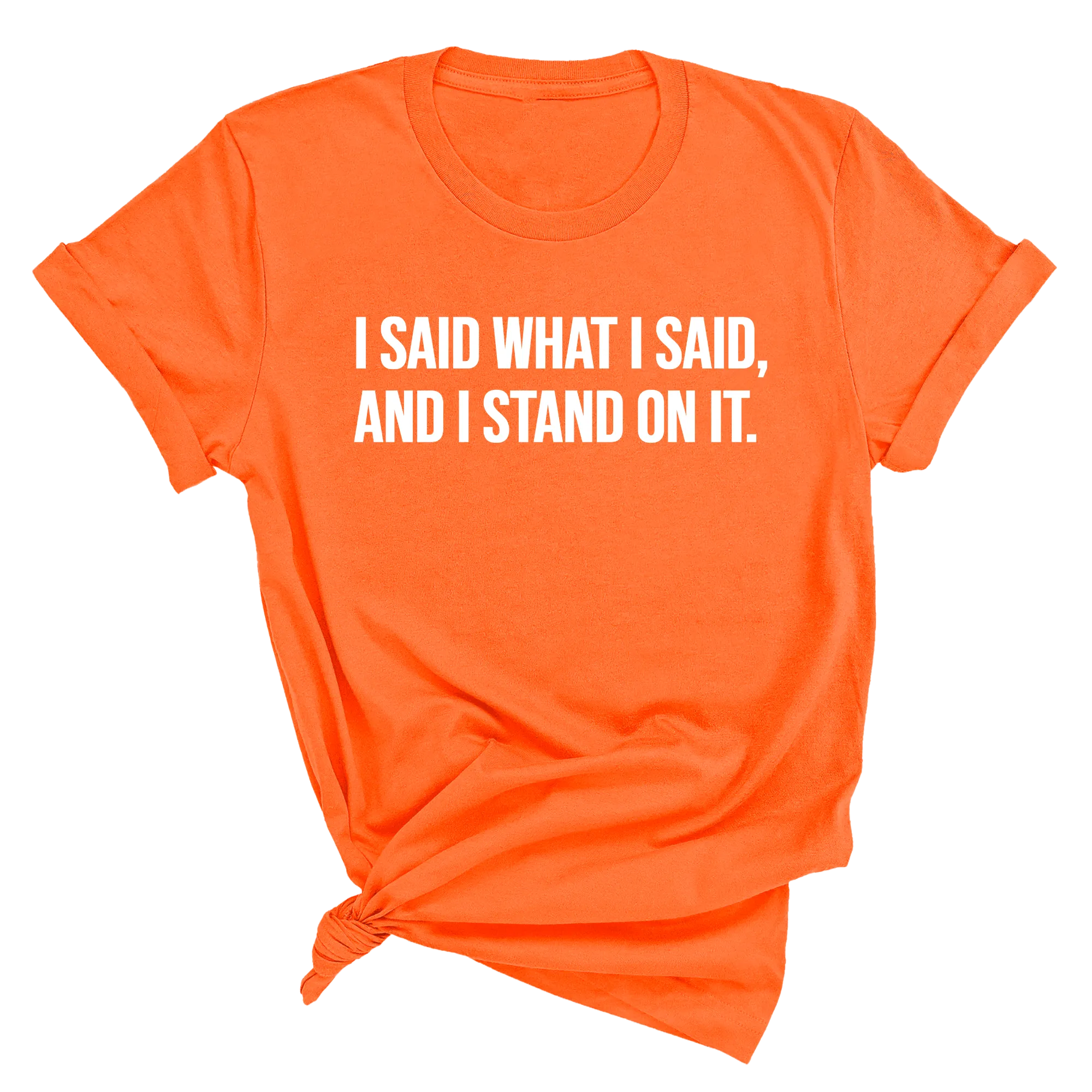 I Said What I Said and I Stand on It Unisex Tee