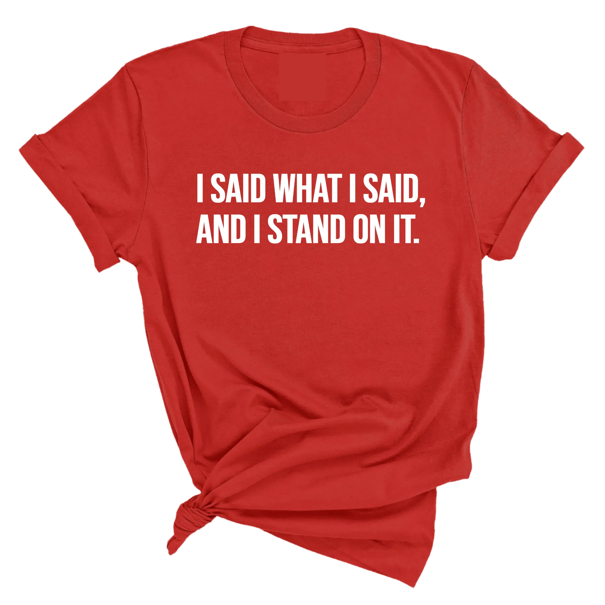 I Said What I Said and I Stand on It Unisex Tee