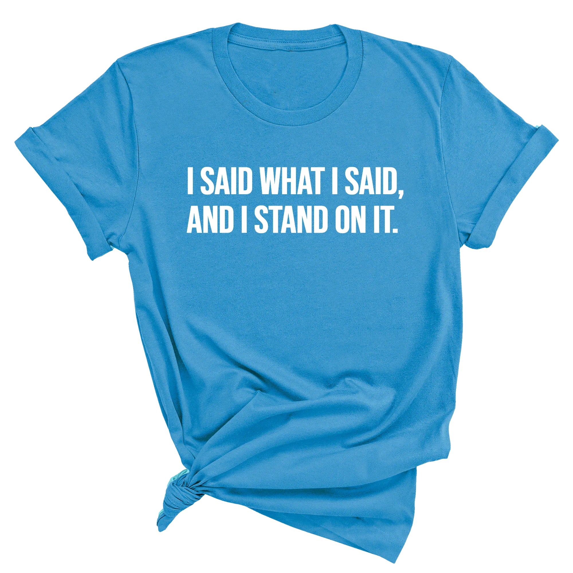 I Said What I Said and I Stand on It Unisex Tee