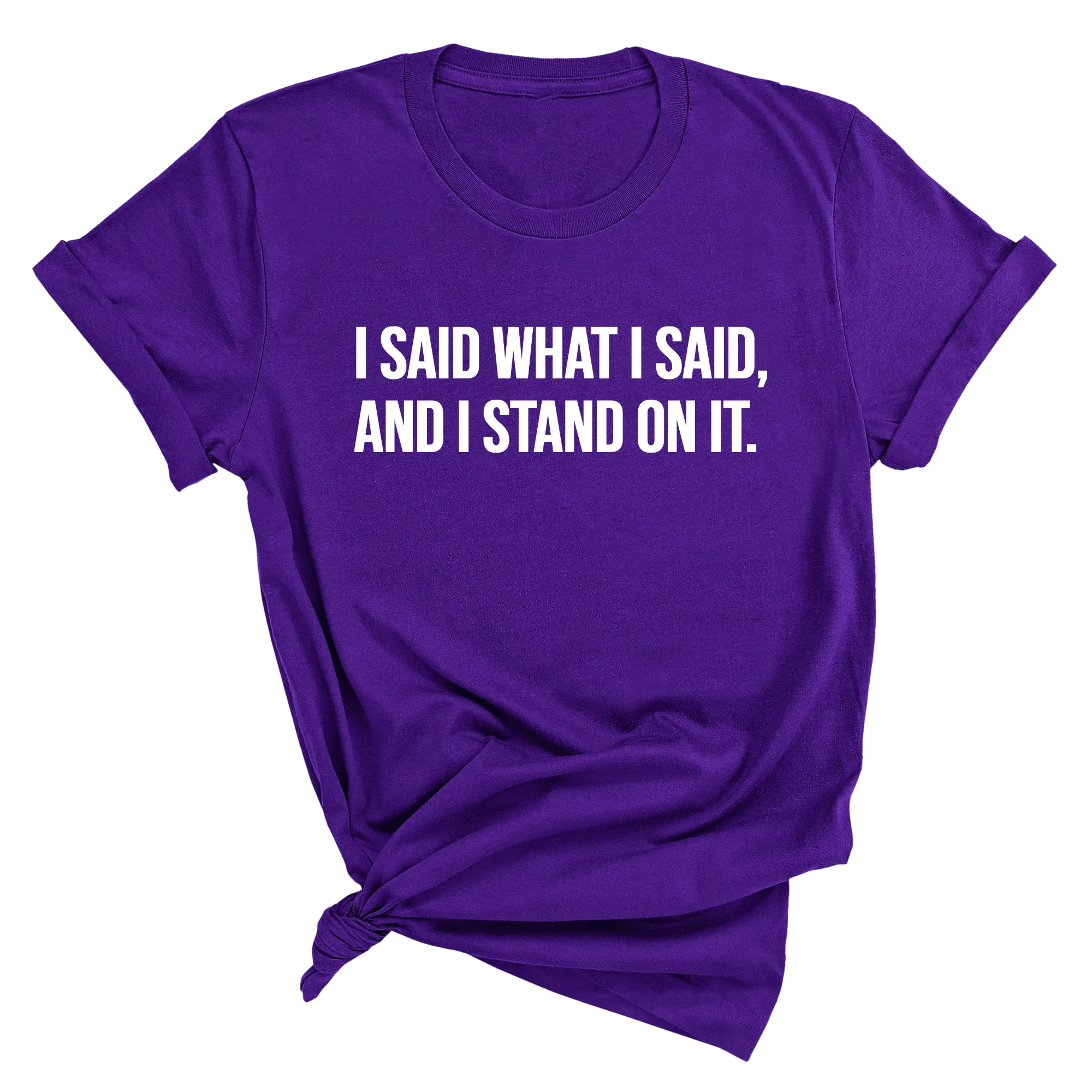 I Said What I Said and I Stand on It Unisex Tee