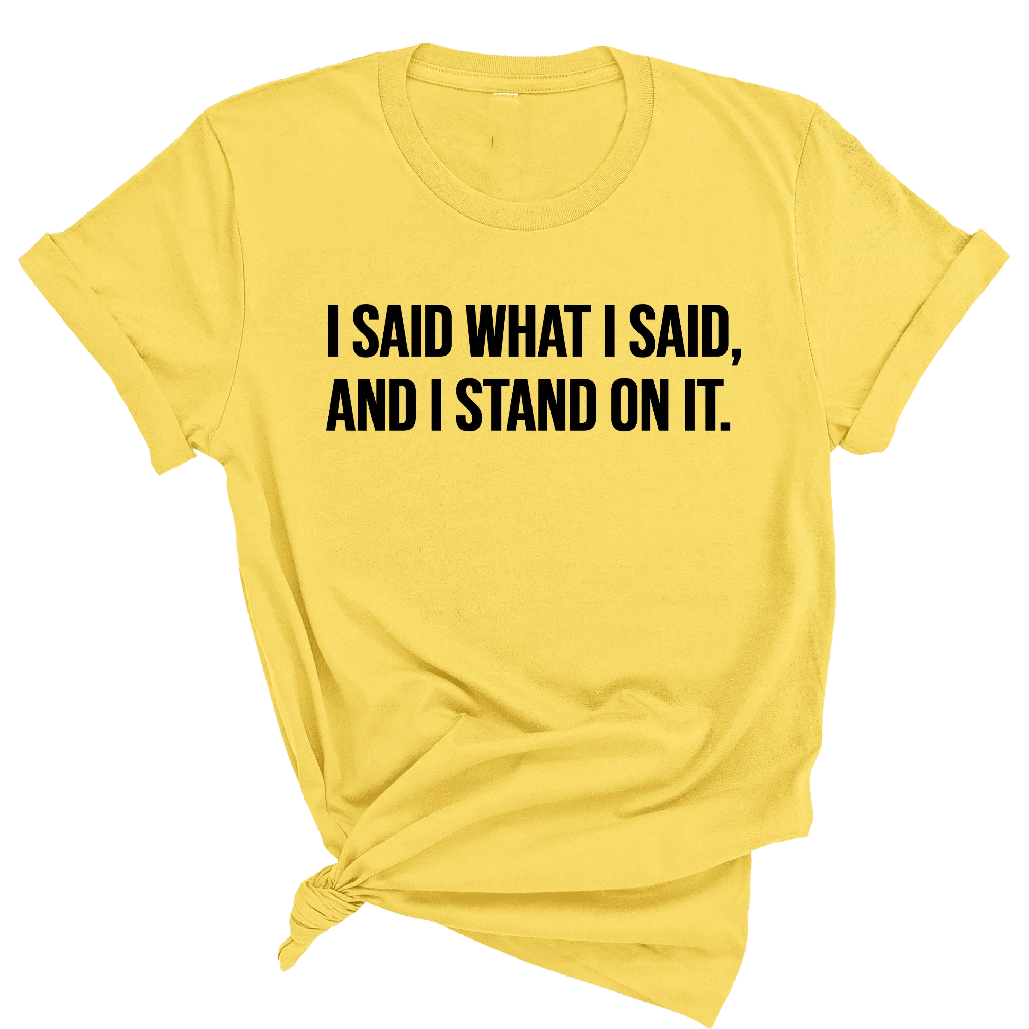 I Said What I Said and I Stand on It Unisex Tee