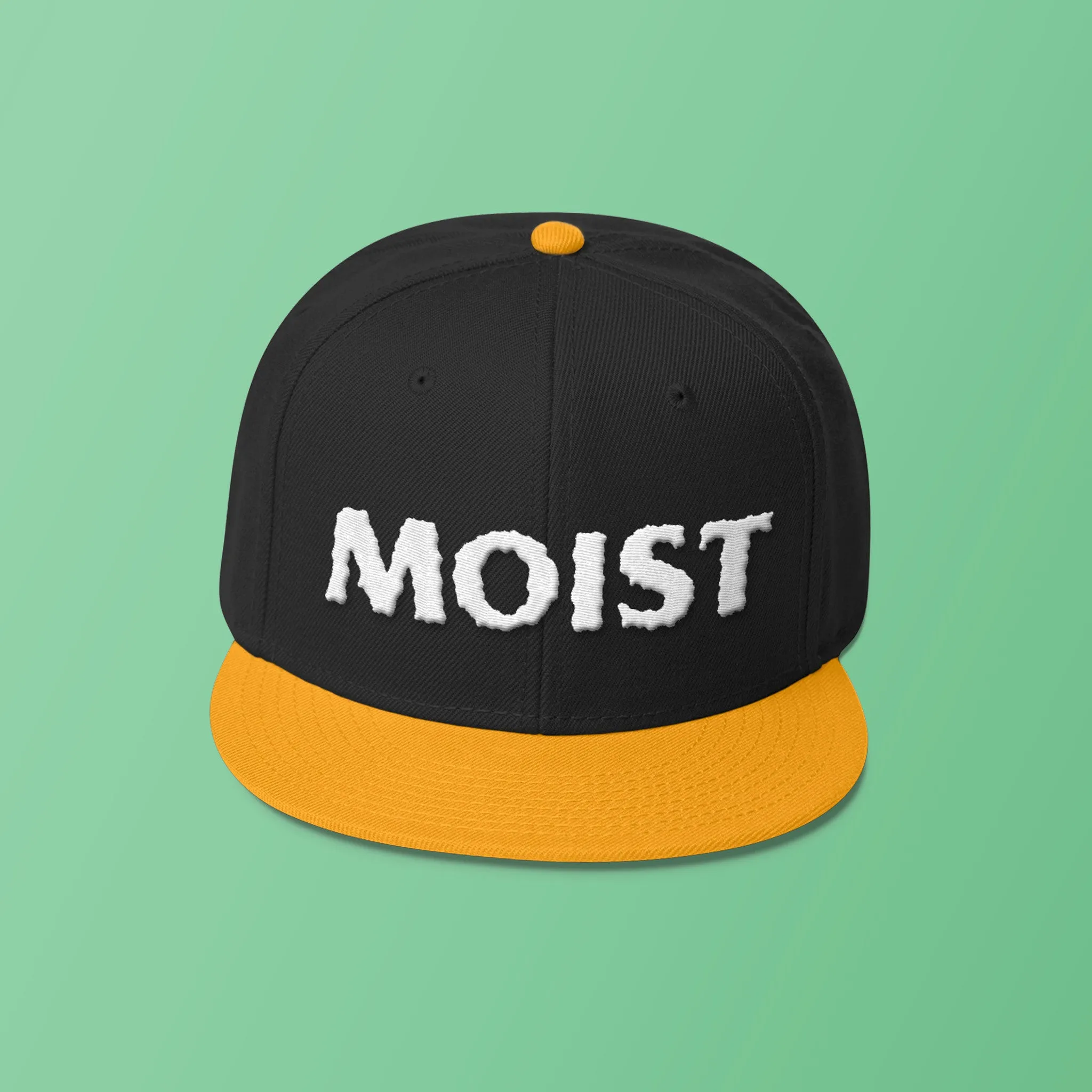 MOIST - Wool Blend Snapback Hat