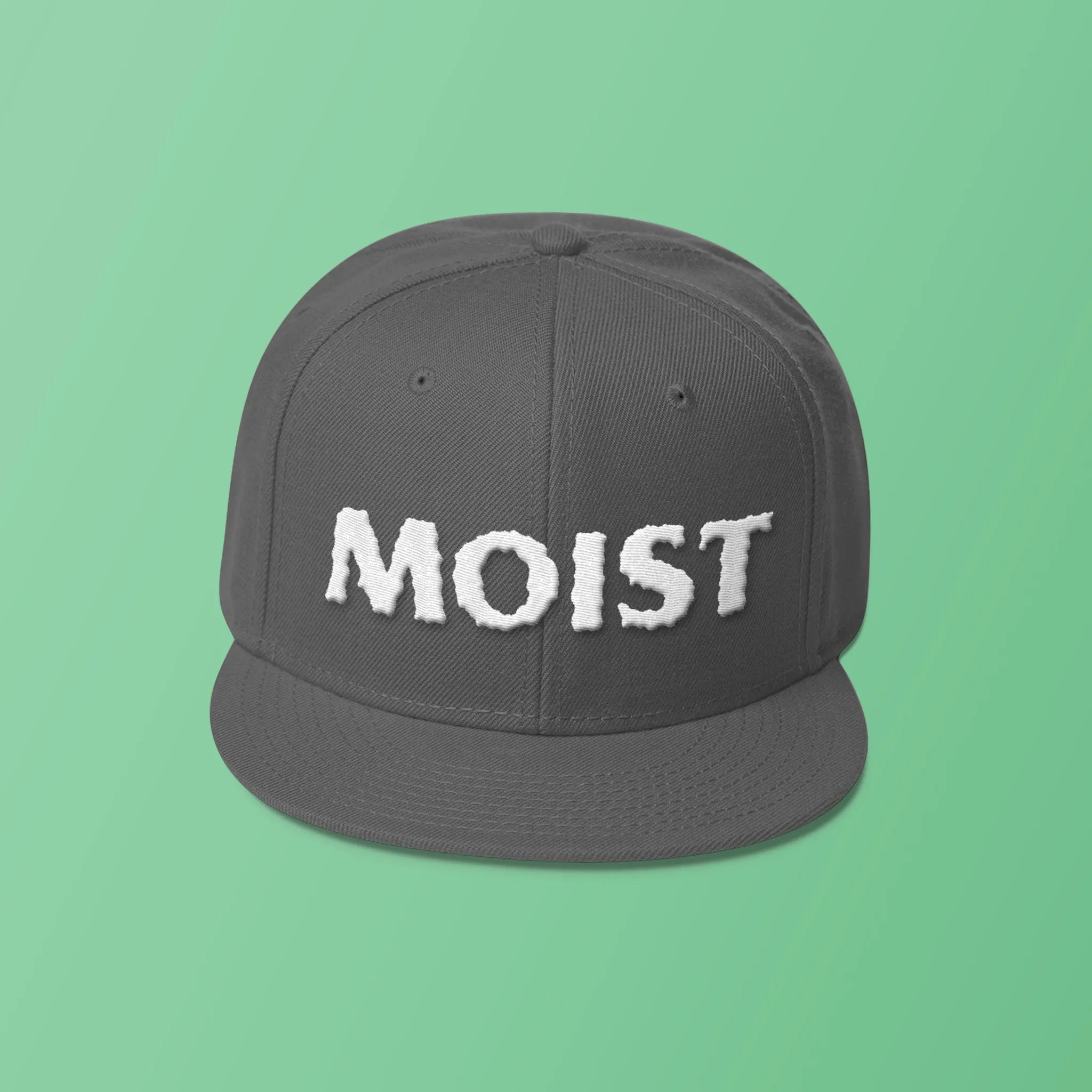 MOIST - Wool Blend Snapback Hat