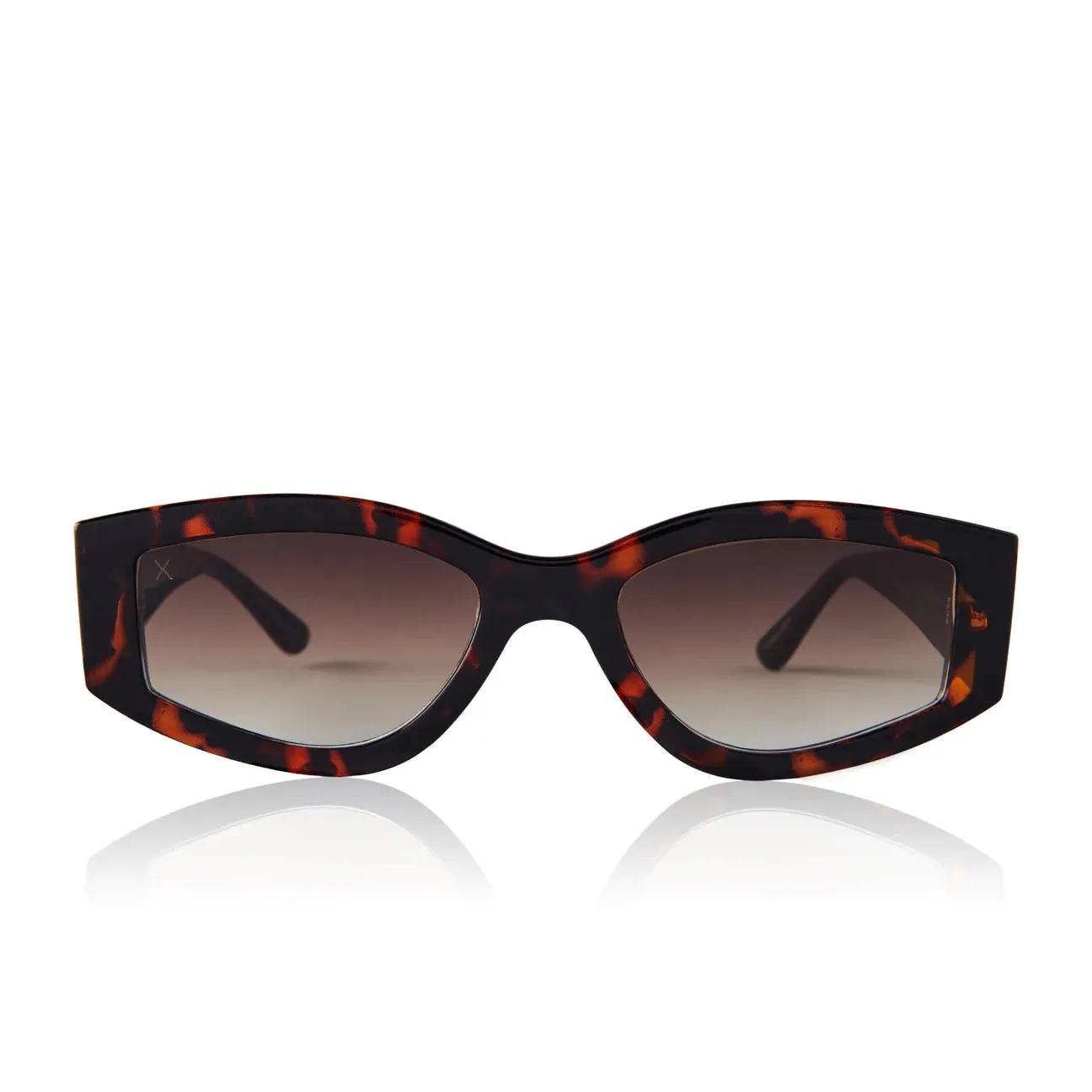 Robertson Tortoise Brown Sunglasses